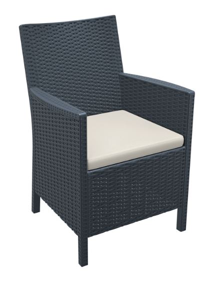 California Arm Chair with Cushion