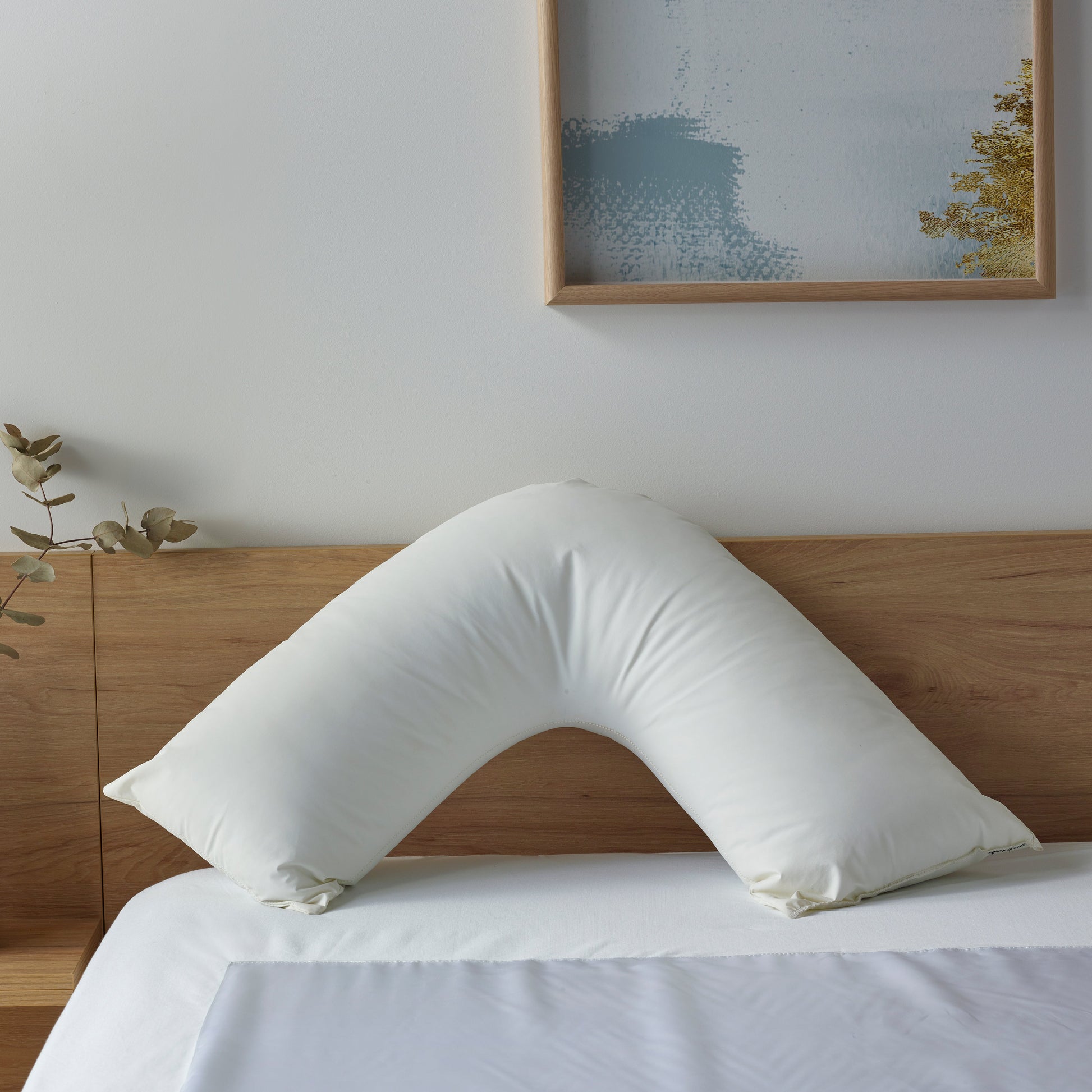 Boomerang Waterproof Pillow
